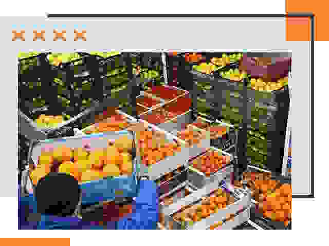 Перевозка скоропортящихся продуктов в Азнакаево